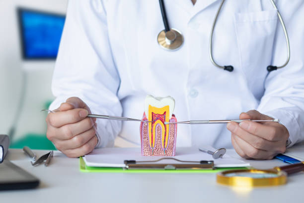 Best Same-Day Emergency Dentist in Lewiston, ME